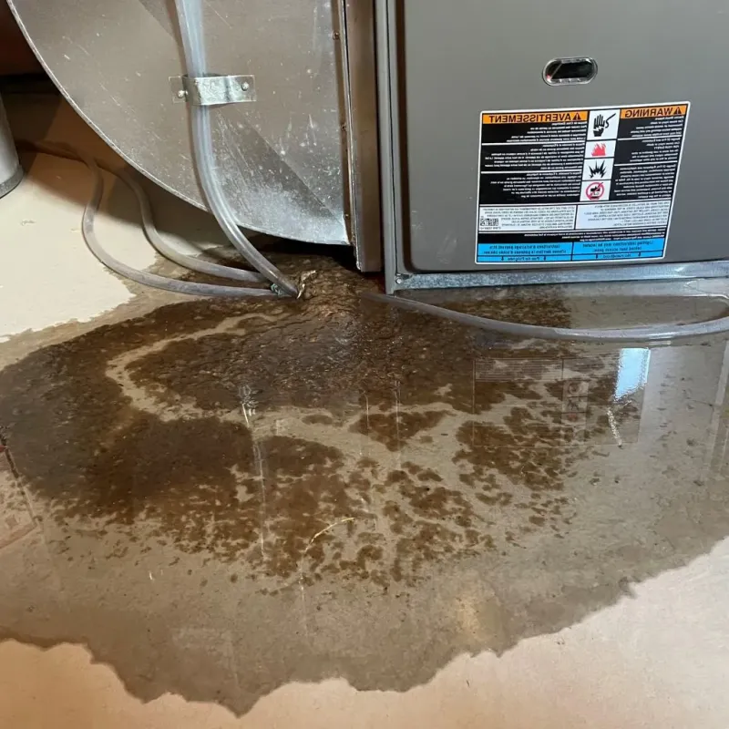 Pipe Burst and Leak Restoration in Smithfield, RI