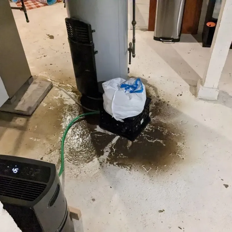 Sewage Backup Cleanup Service in Smithfield, RI